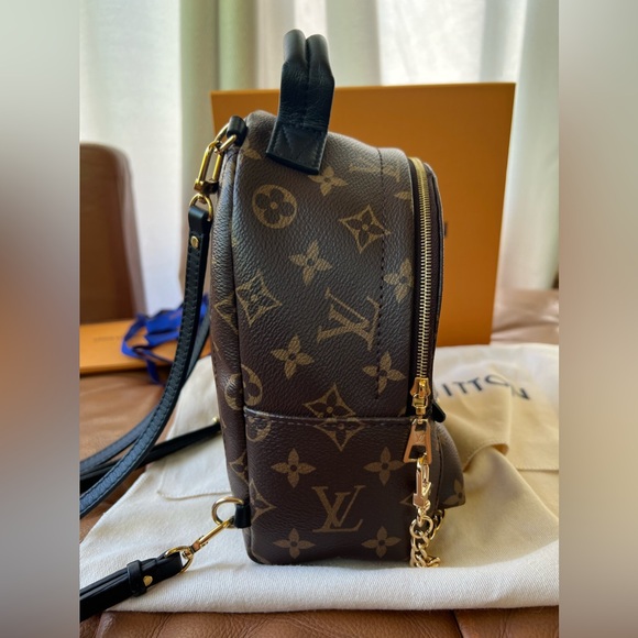Louis Vuitton Palm Springs Mini - Picture 3 of 12
